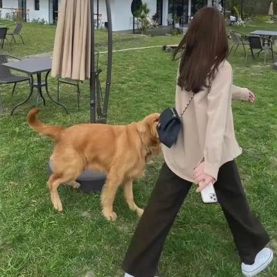 真正的家人